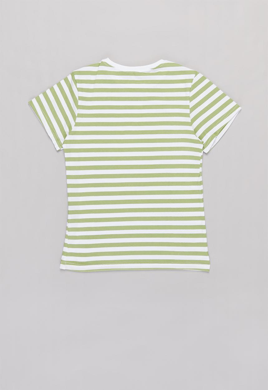 Rebel Republic - Boys 2 pack stripe tees - green & white 