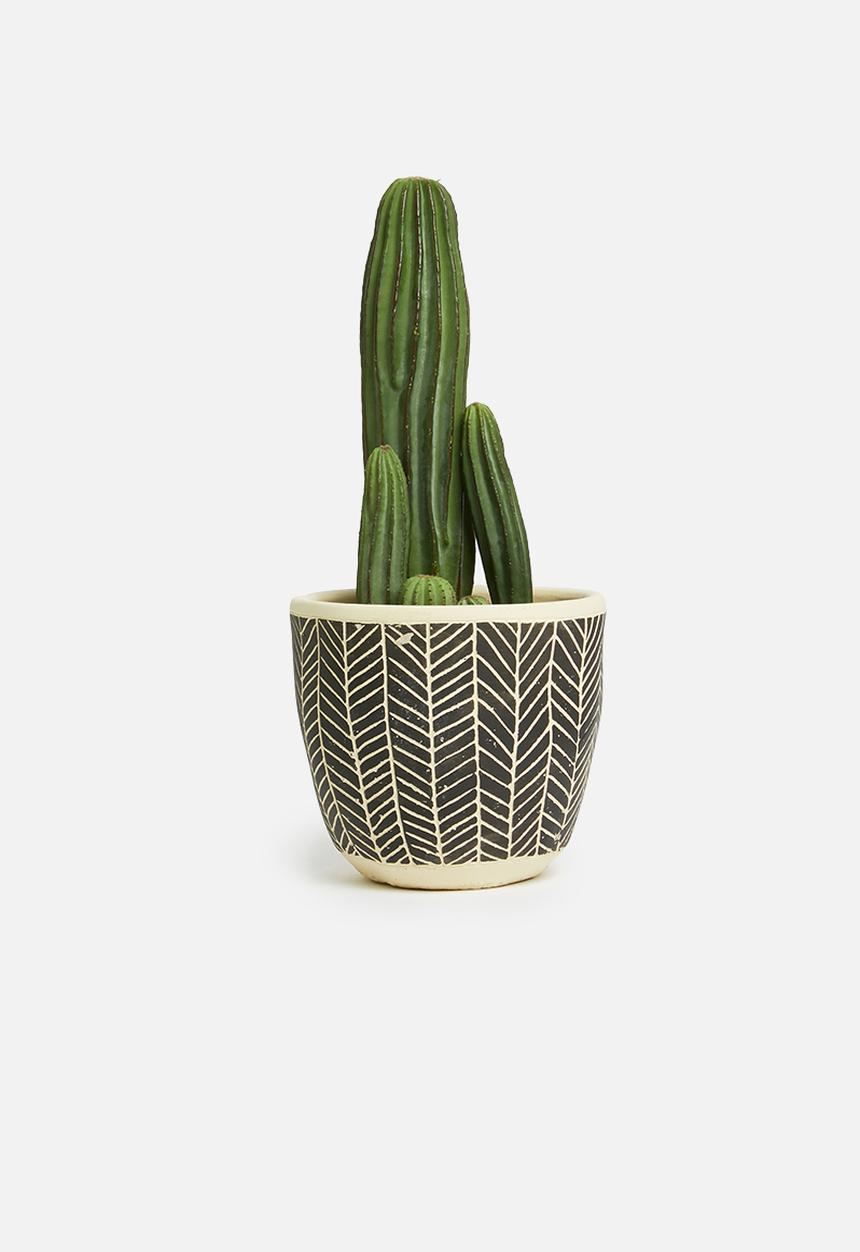 H&S - Succulent planter - black & neutral
