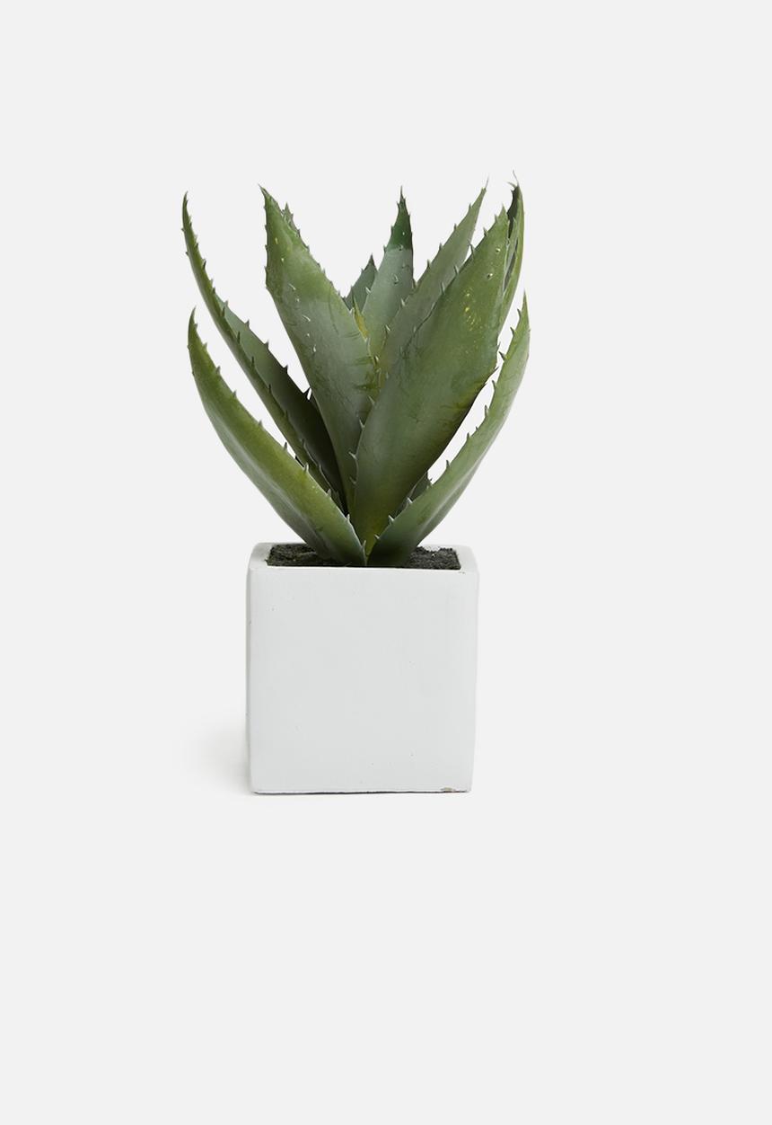 Silk By Design - Succulent arrangement - green 