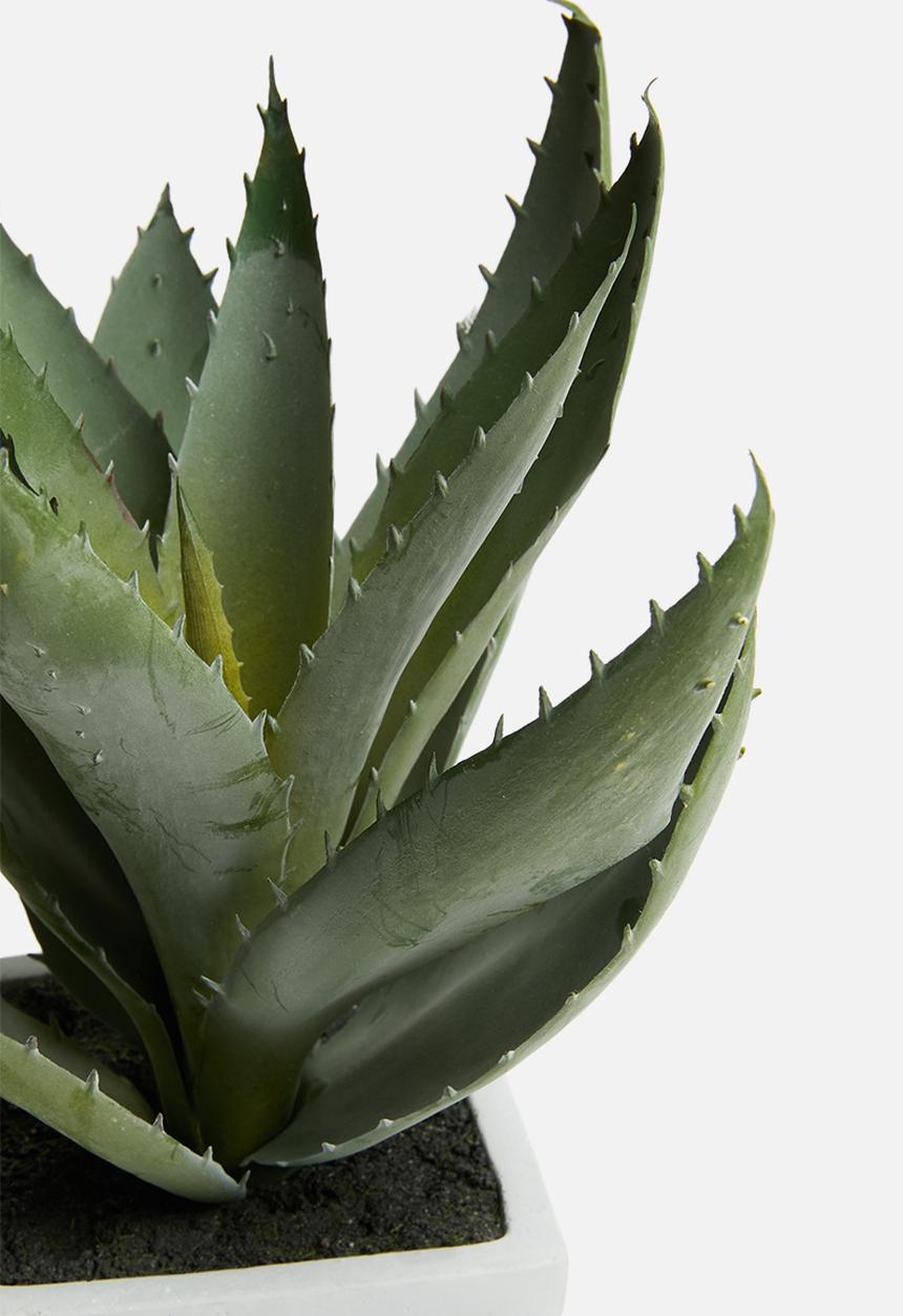 Silk By Design - Succulent arrangement - green 