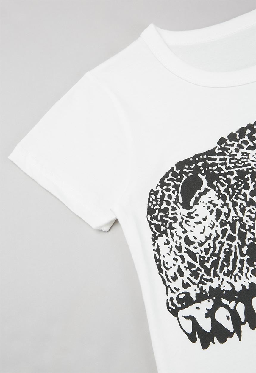 Pop Candy - Boys dino print tee - white