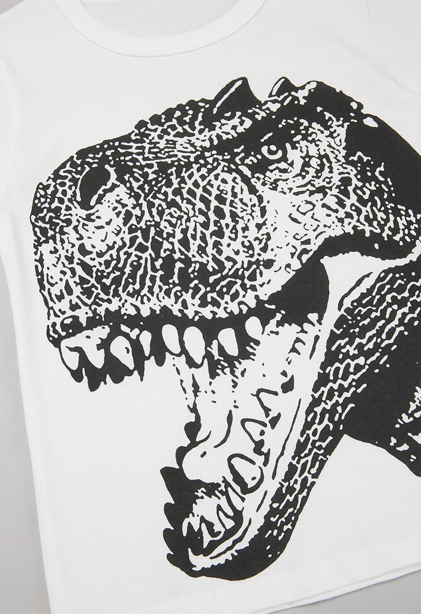 Pop Candy - Boys dino print tee - white
