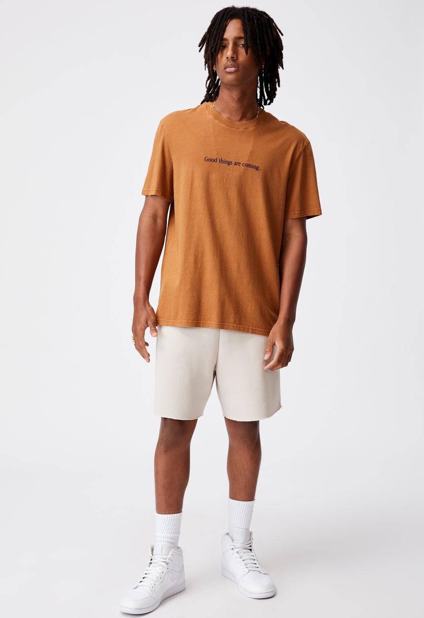 Factorie - Regular graphic T-shirt - washed tobacco