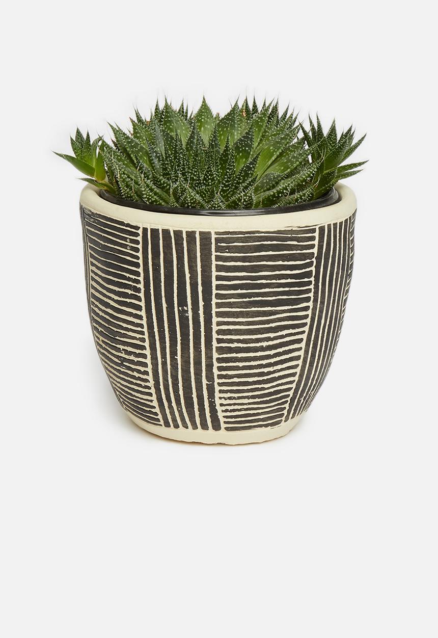 H&S - Succulent planter - black & neutral