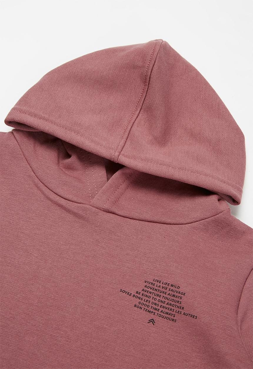Cotton On - Milo hoodie - vintage berry