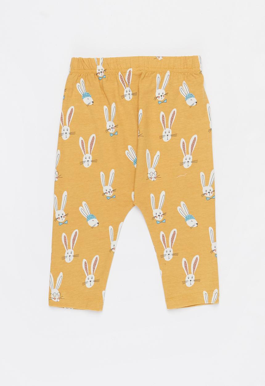 Cotton On - 2 pack leggings - vintage honey & petty blue