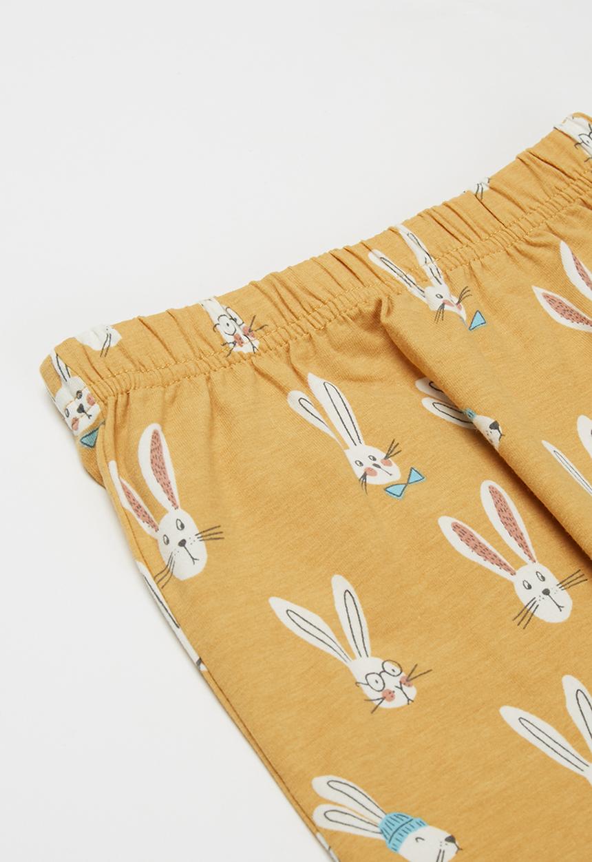 Cotton On - 2 pack leggings - vintage honey & petty blue