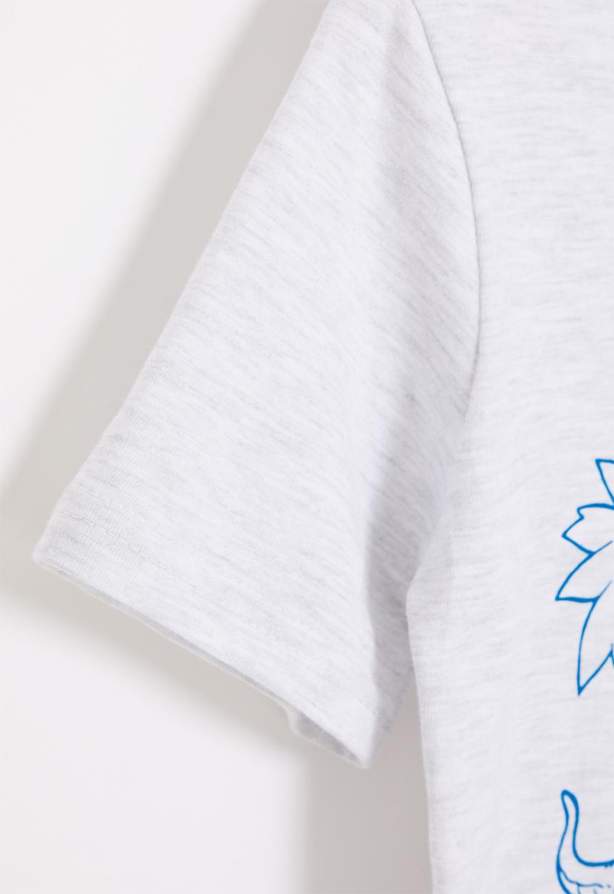Pop Candy - Younger boys styled short sleeve tee - grey
