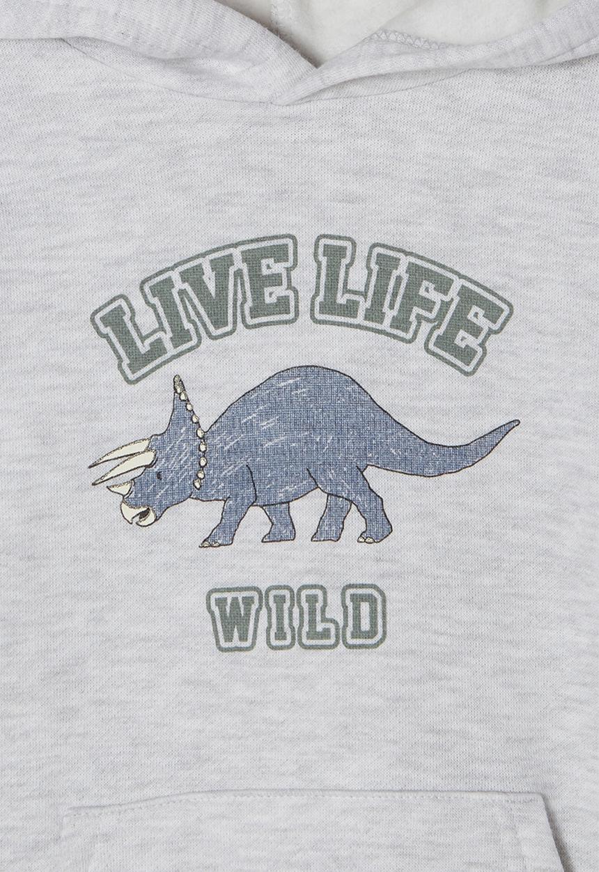 Cotton On - Milo hoodie - summer grey marle