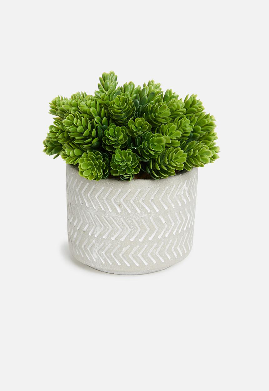 Sixth Floor - Tales potted artificial succulent