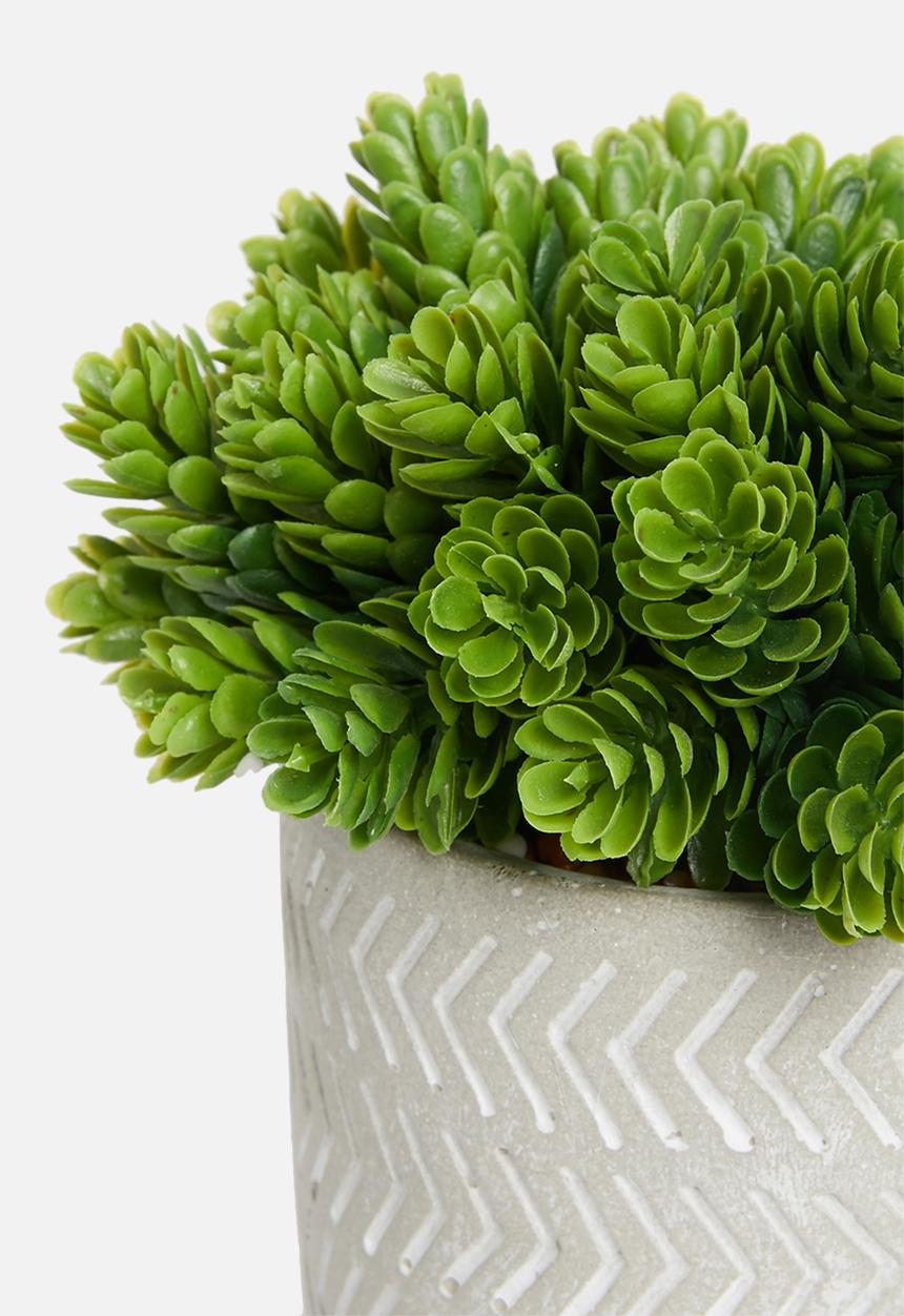 Sixth Floor - Tales potted artificial succulent