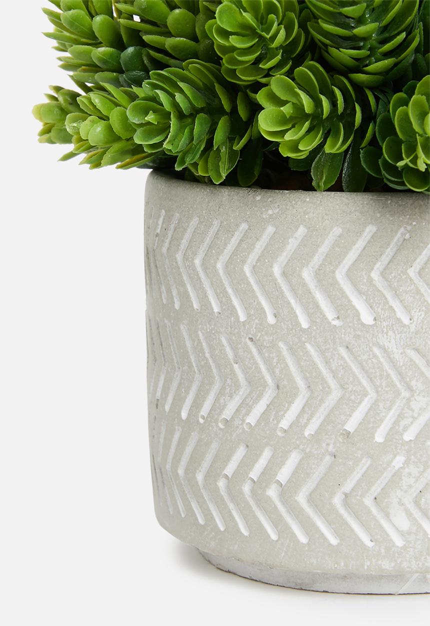 Sixth Floor - Tales potted artificial succulent