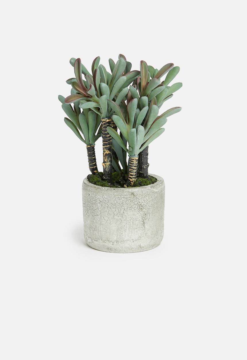 Sixth Floor - Pink tipped potted artificial succulent