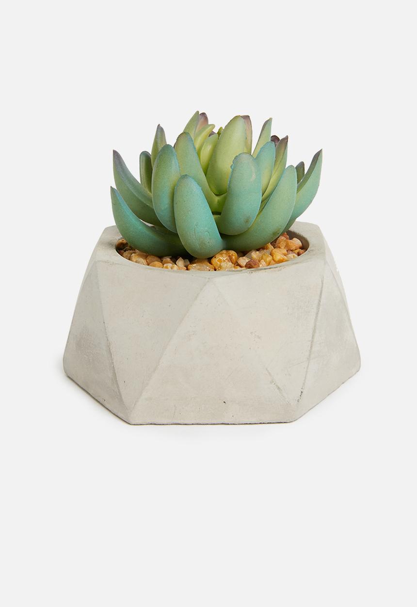 Sixth Floor - Hexagon potted artificial succulent