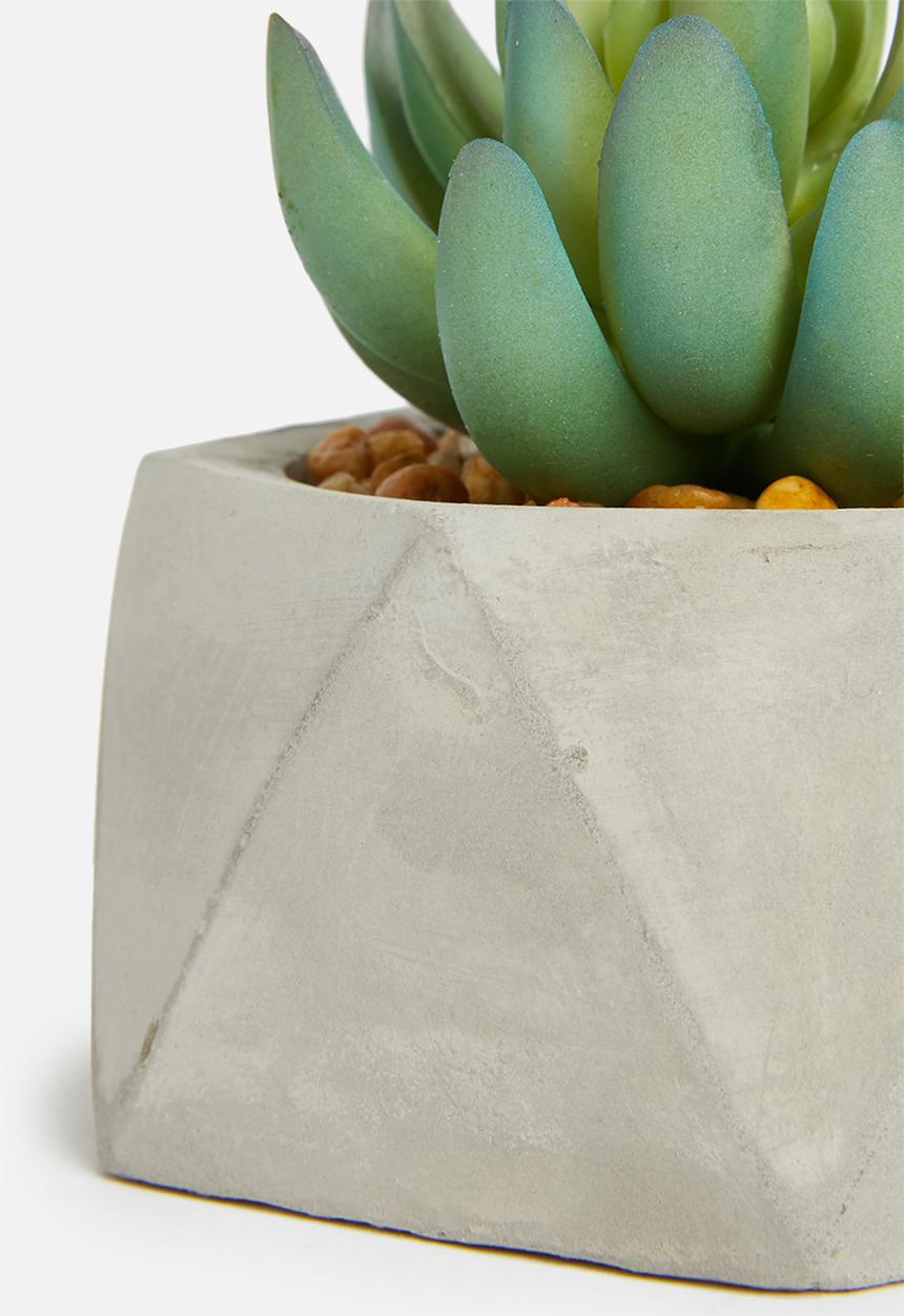 Sixth Floor - Hexagon potted artificial succulent