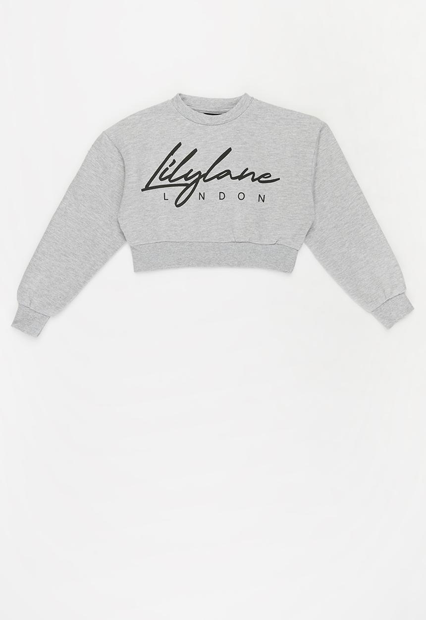Lilylane - Pearla printed cropped sweater - grey