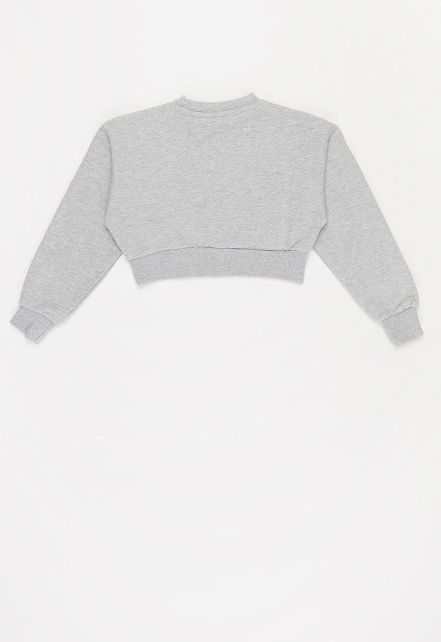Lilylane - Pearla printed cropped sweater - grey
