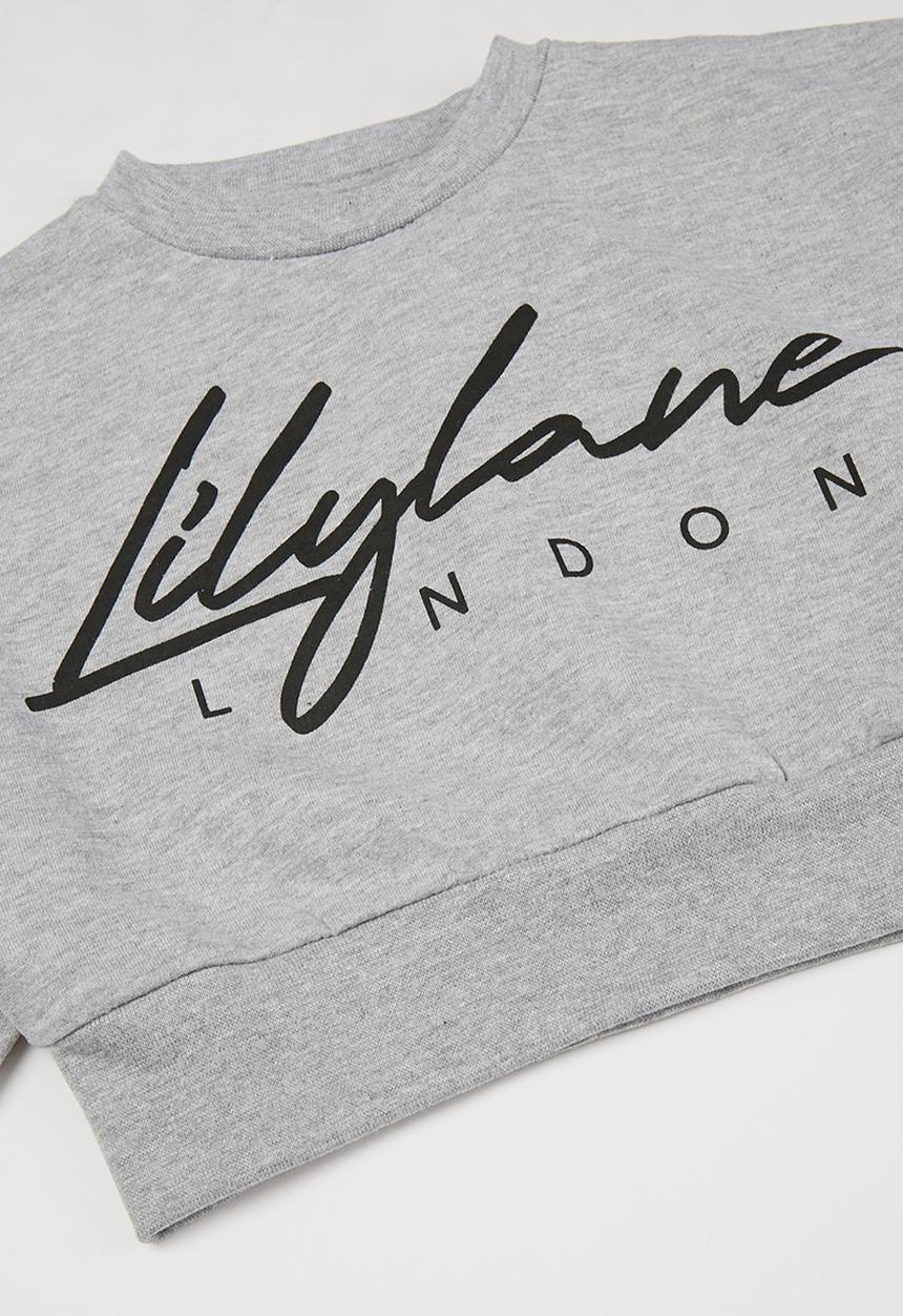 Lilylane - Pearla printed cropped sweater - grey