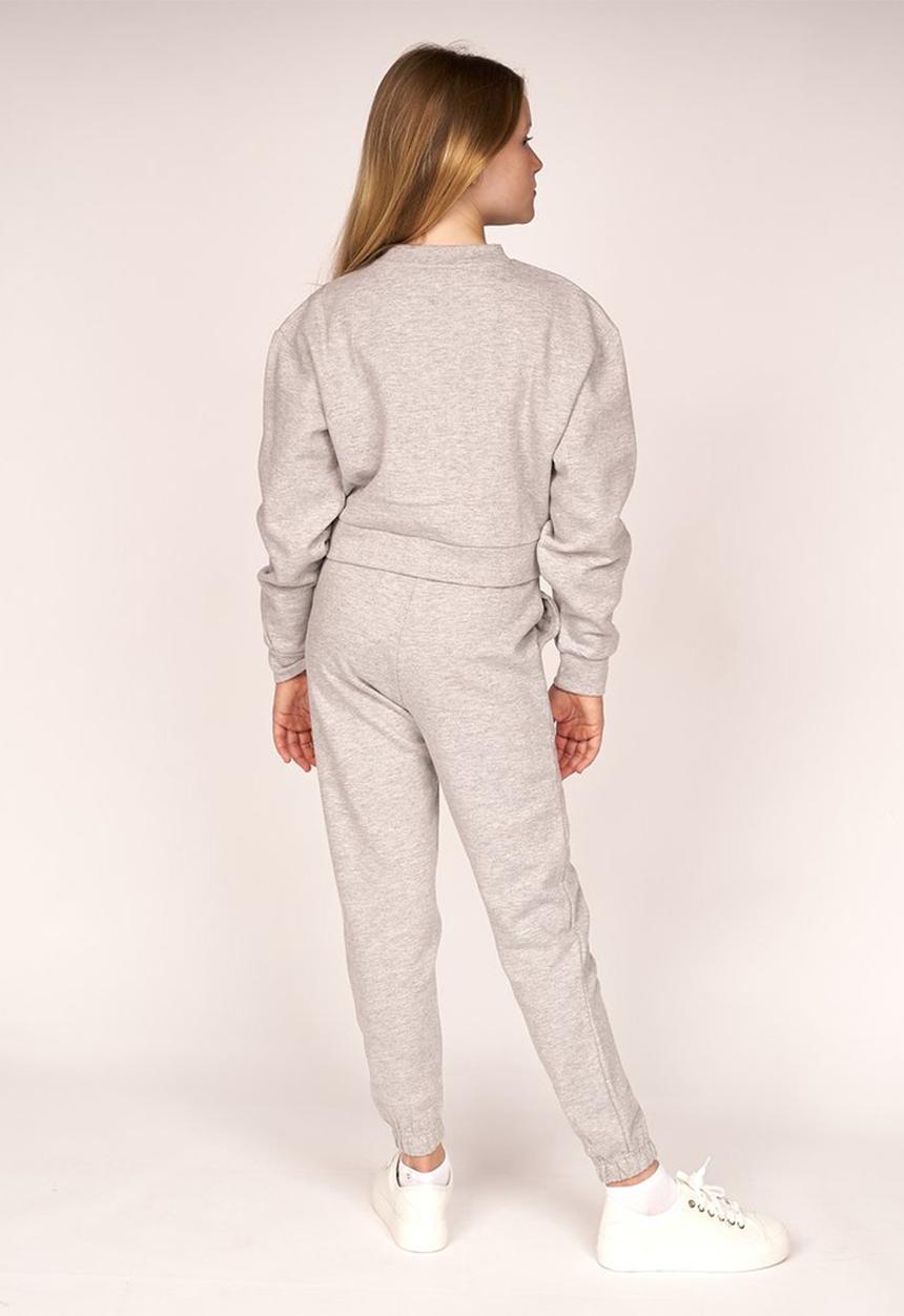 Lilylane - Pearla printed cropped sweater - grey