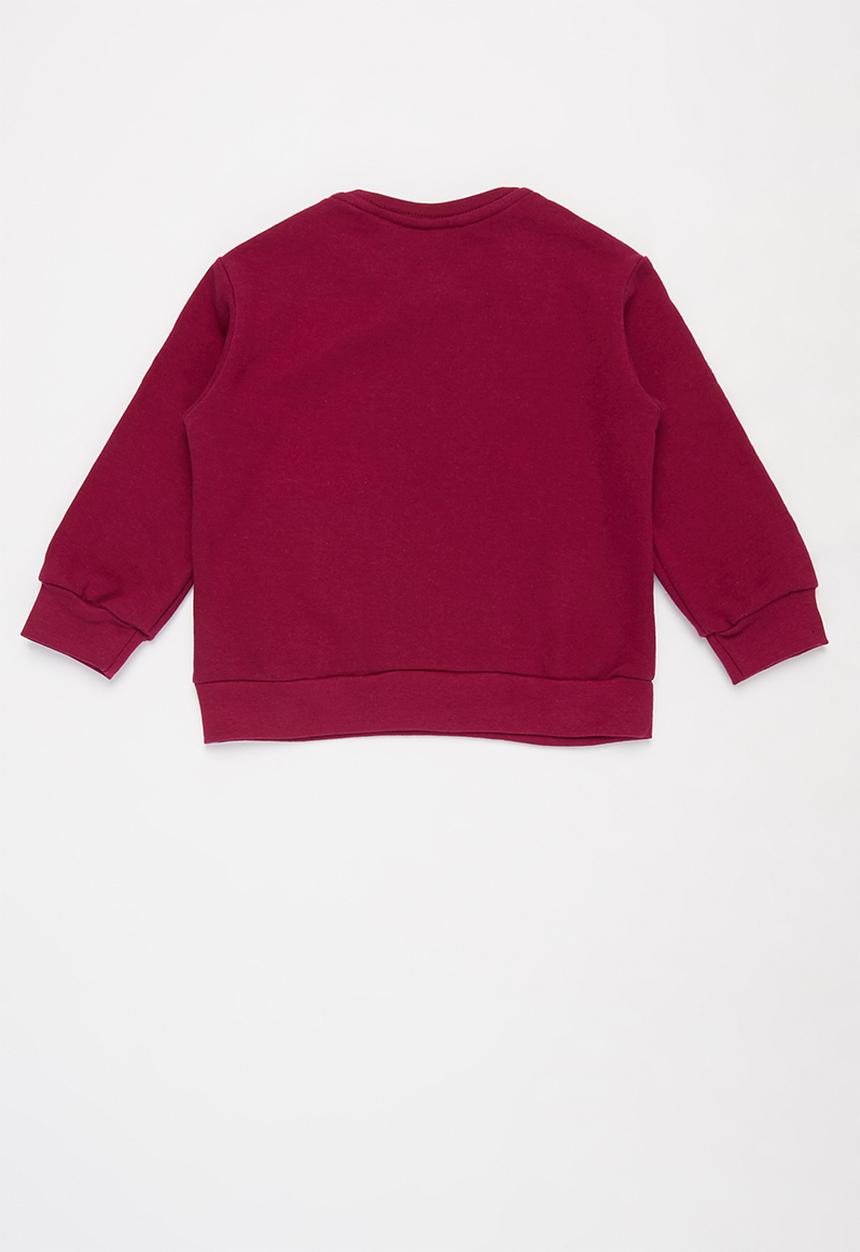 Pop Candy - Boys 2 pack graphic sweatshirts - maroon & charcoal melange