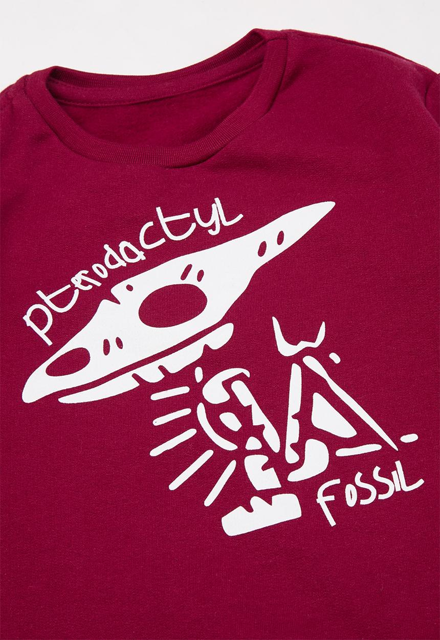 Pop Candy - Boys 2 pack graphic sweatshirts - maroon & charcoal melange