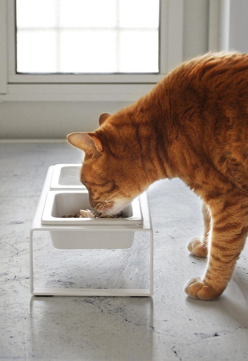 Yamazaki - Tower pet food bowl stand set - white