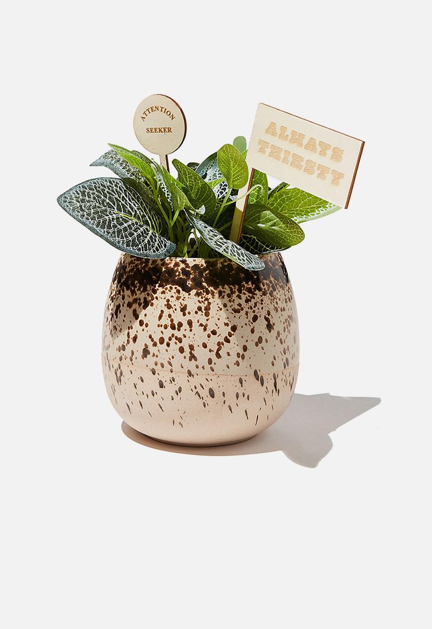 Typo - Midi shaped planter - black speckle glaze