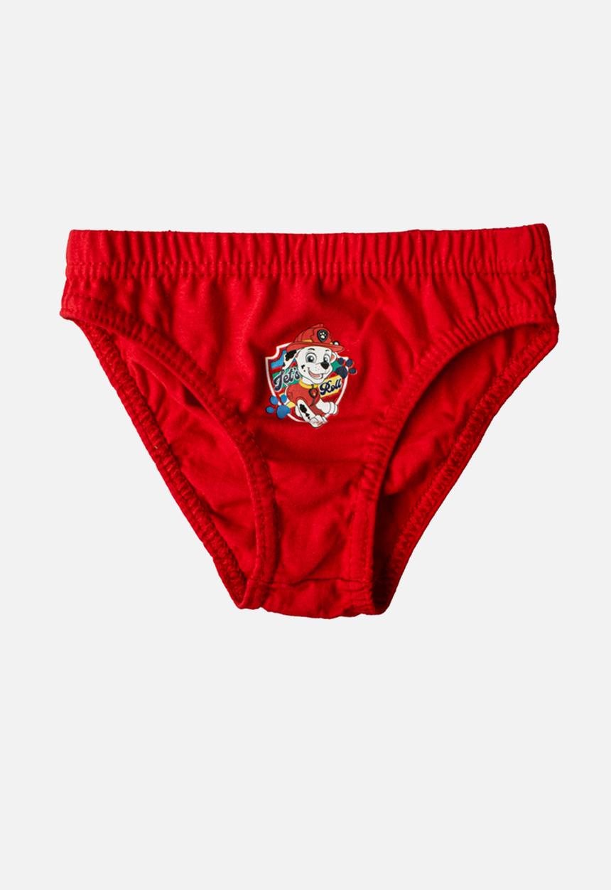 Character Group - Paw patrol 3 pack briefs - multi