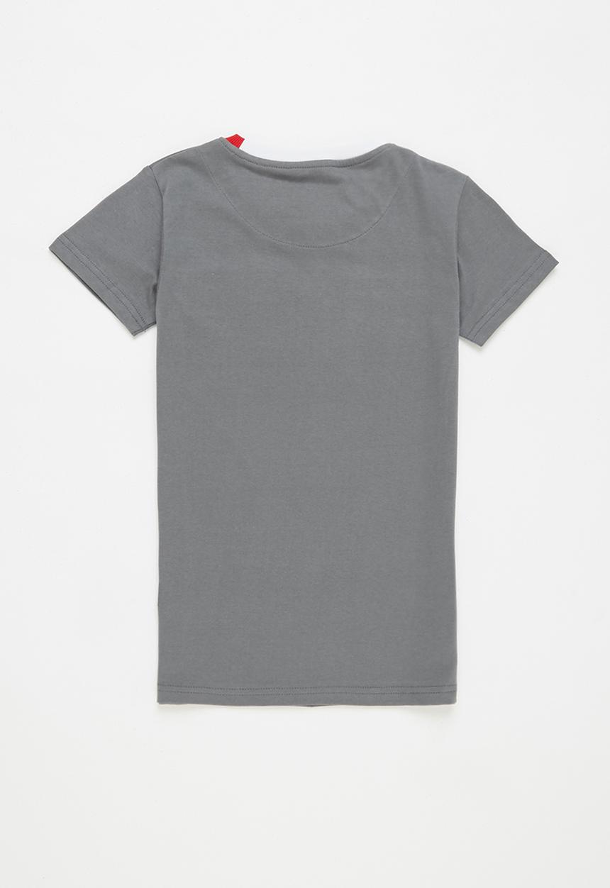 Aca Joe - Big-boys short sleeve tee - grey