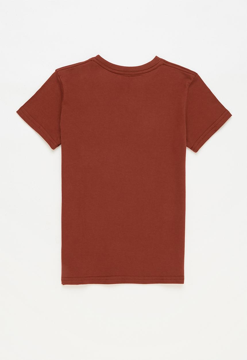 Billabong  - Boys badlands short sleeve tee - brown