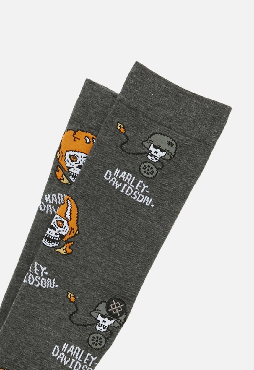 Stance Socks - Harley till i die socks - grey
