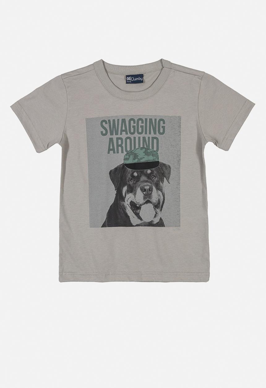 Quimby - Boys swagging around tee & shorts - grey & green