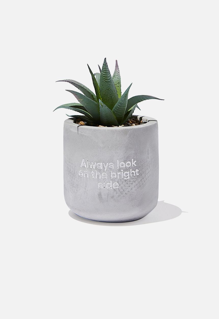 Typo - Tiny planter with plant-concrete bright side