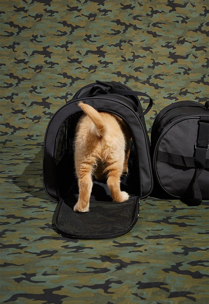 Typo - Explorer doggy duffel - black