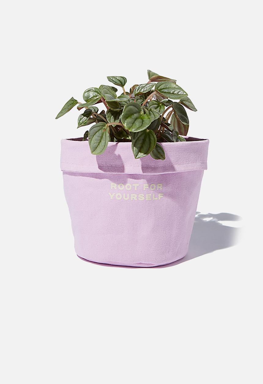 Typo - Canvas planters-root for yourself pale lilac