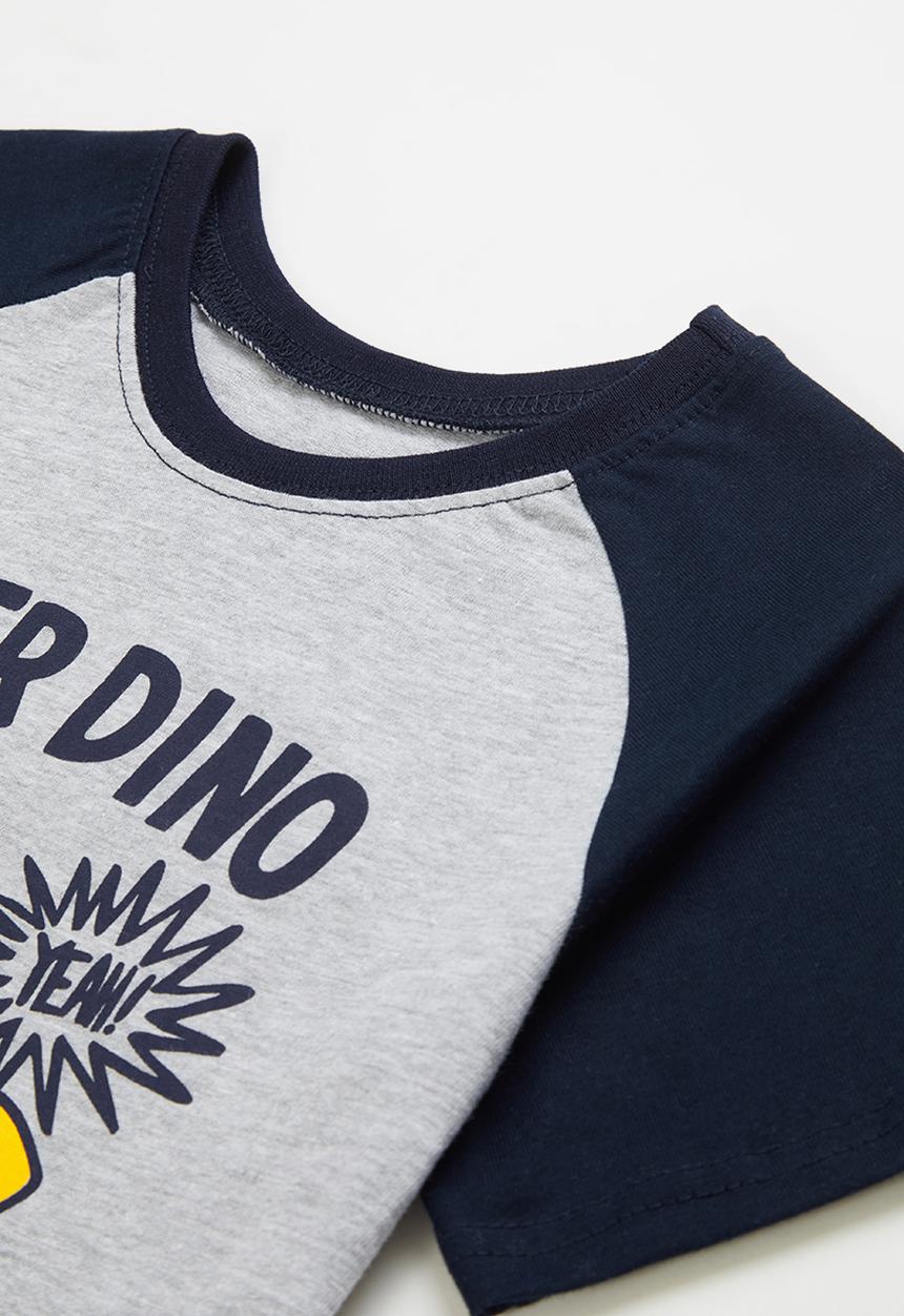 Pop Candy - Younger boys raglan graphic tee - grey & navy 