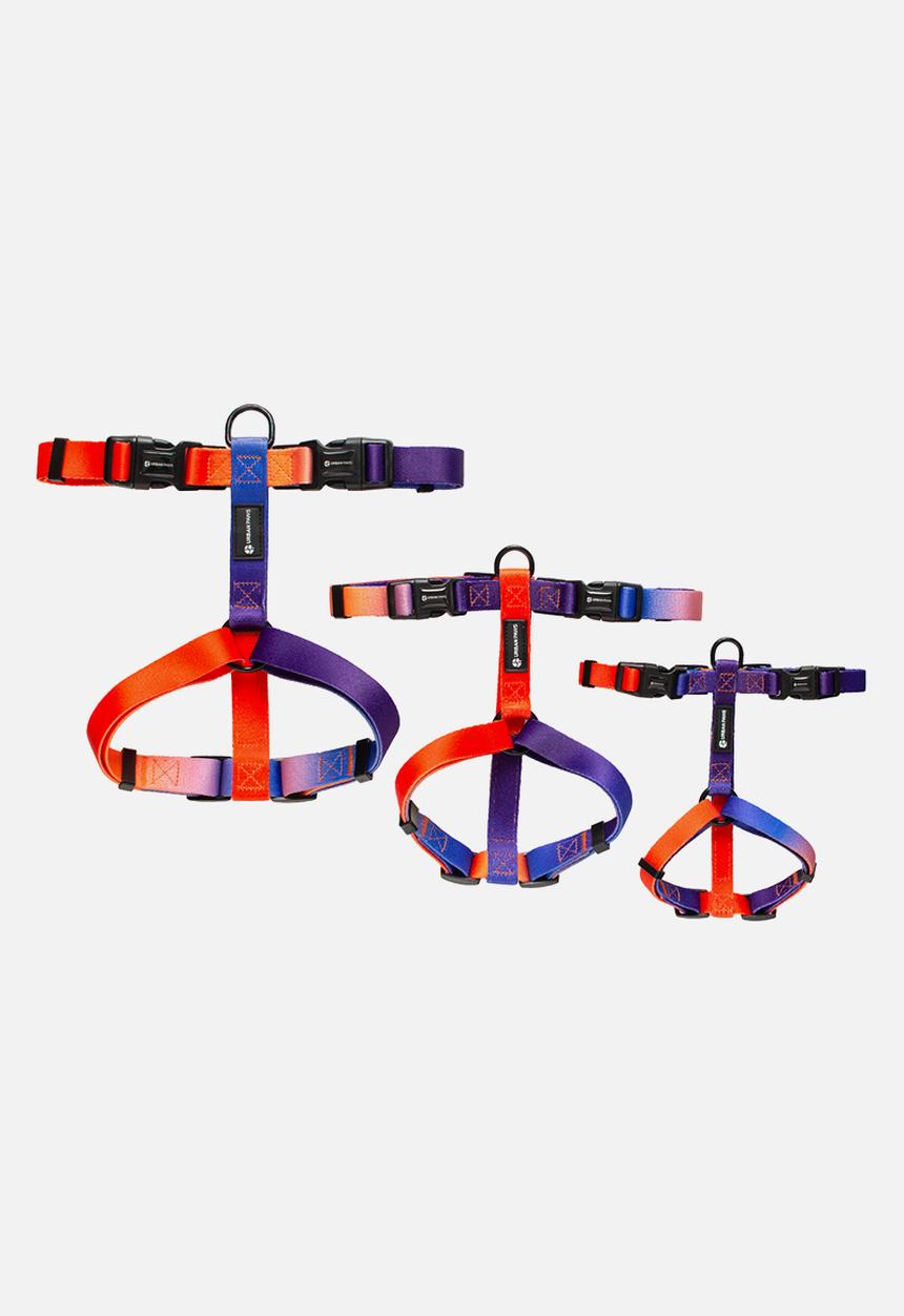 Urbanpaws - Finn harness and lead pack -multi