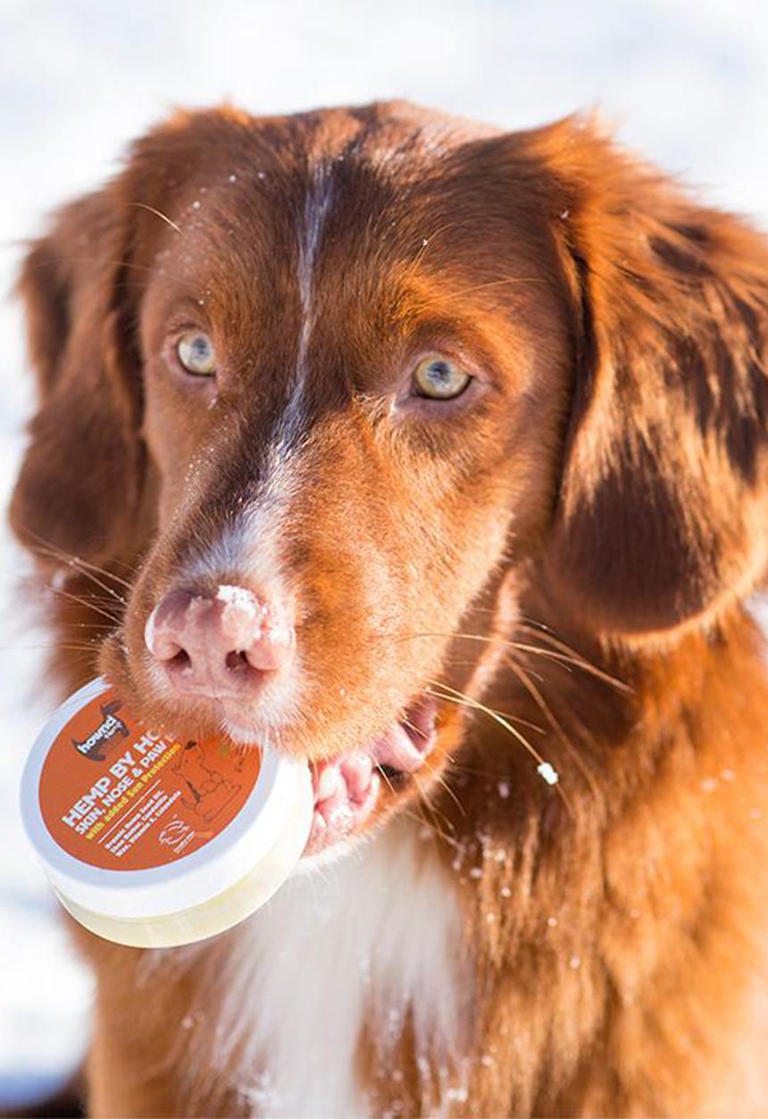 Urbanpaws - Hemp by hownd skin, nose and paw balm with sun protection