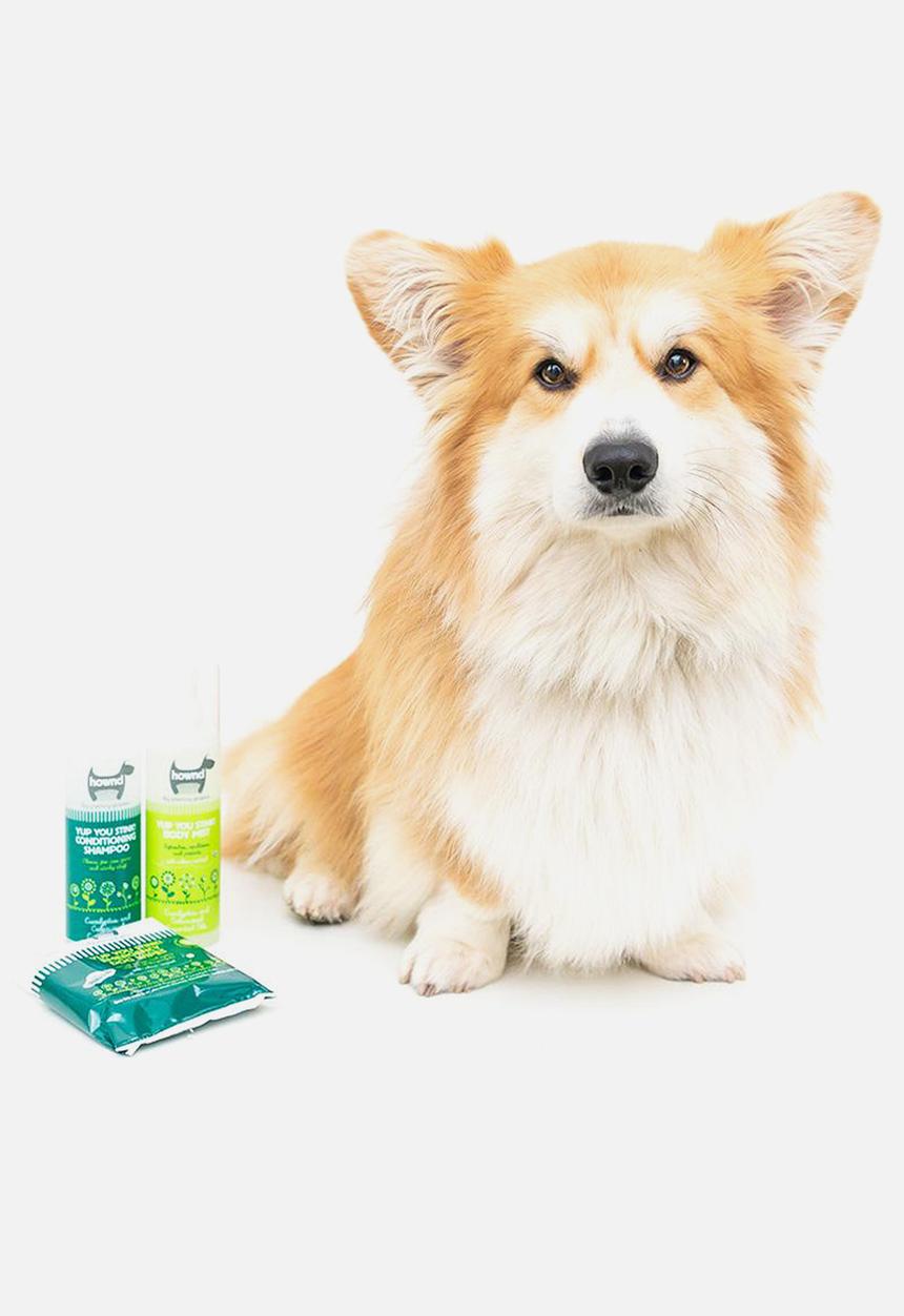 Urbanpaws - Yup you stink! conditioning shampoo