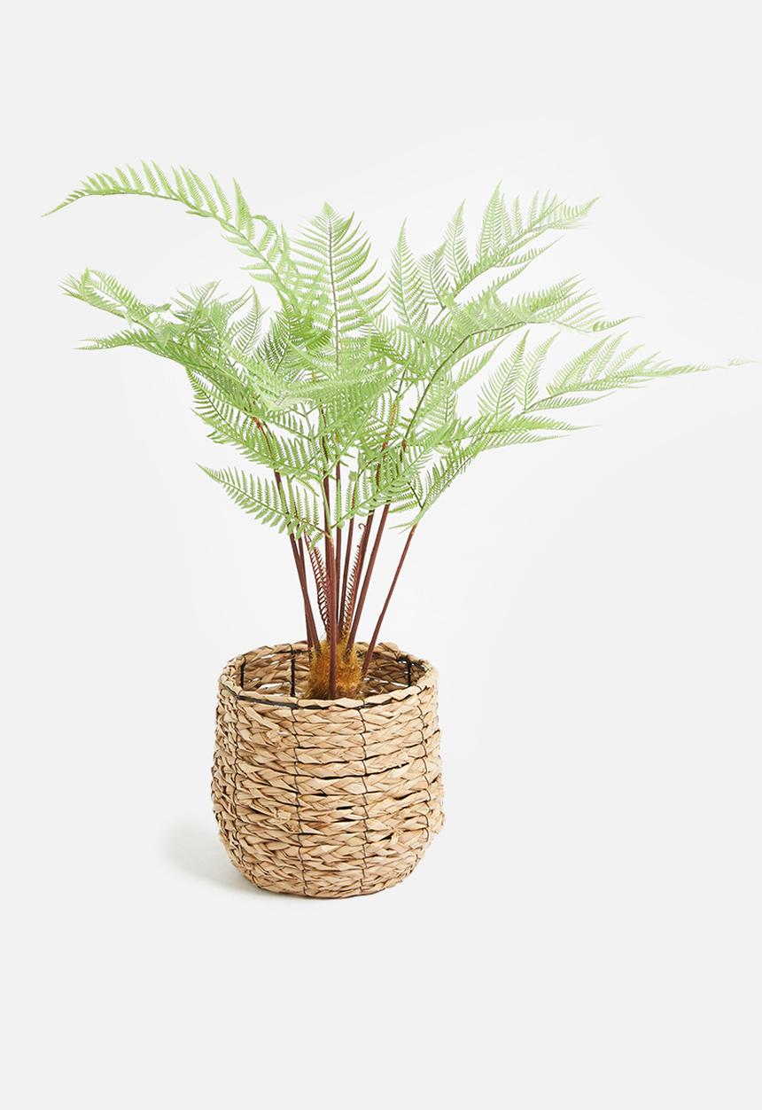 Silk By Design - Sword fern artificial plant - black