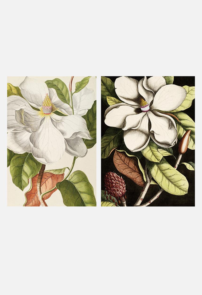 Elsje Designs - Magnolia black and white set of 2