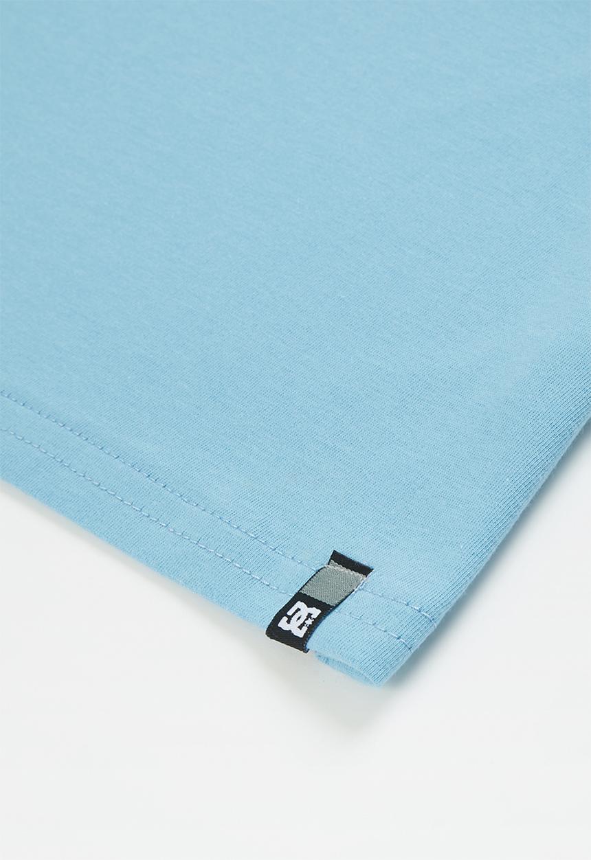 DC - Sealed seal short sleeve tee - dusty blue