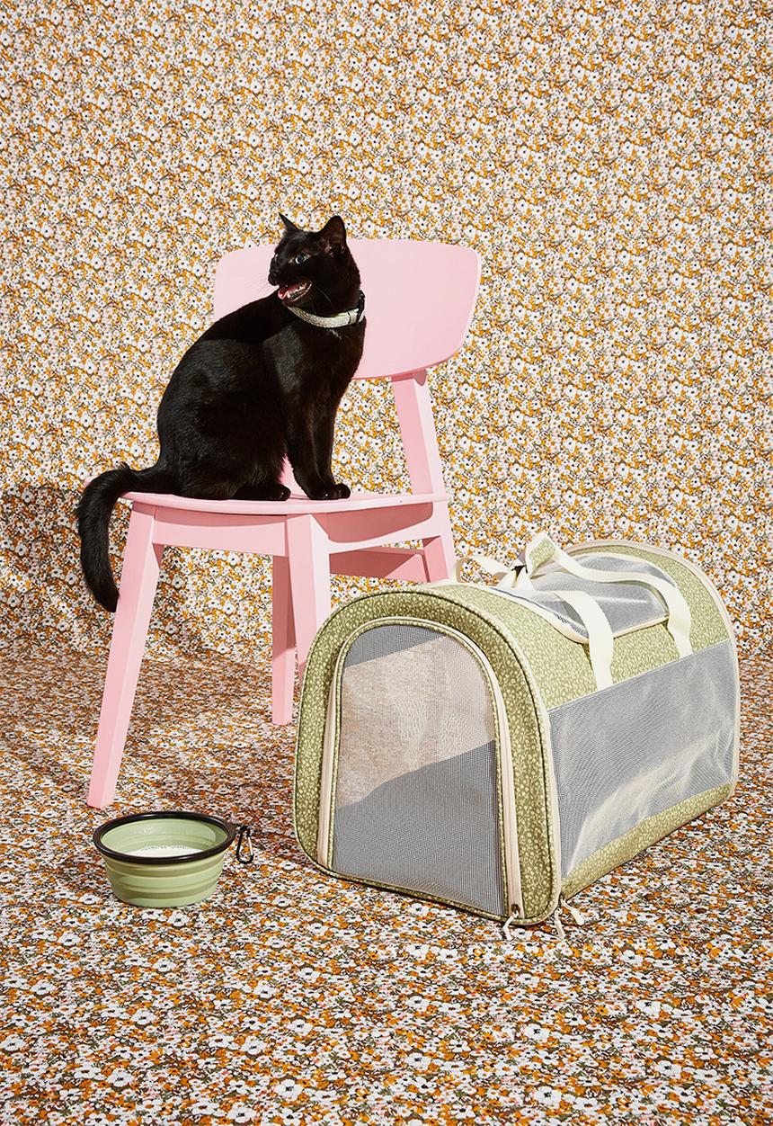 Typo - Explorer doggy duffel-gum leaf meadow ditsy