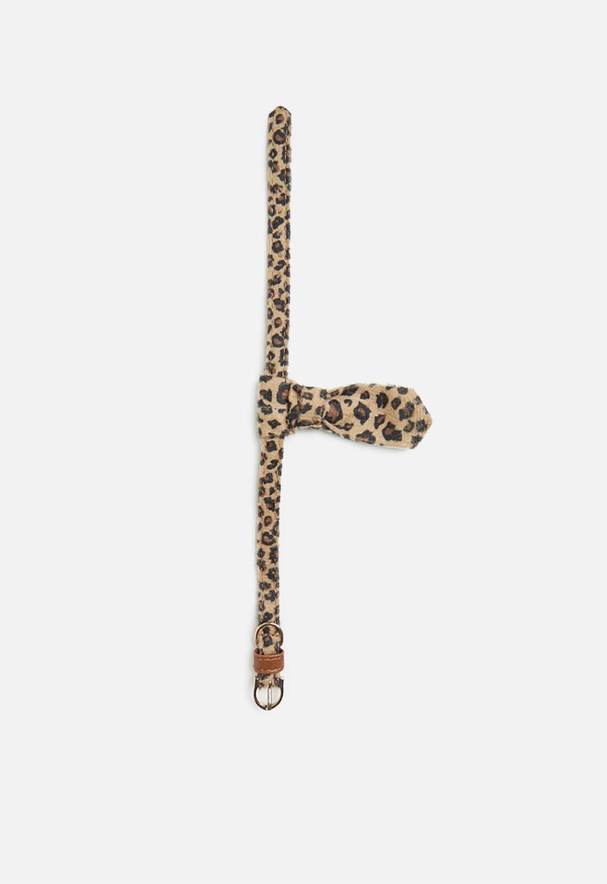 Pet Collection - Scarf dog collar - floral