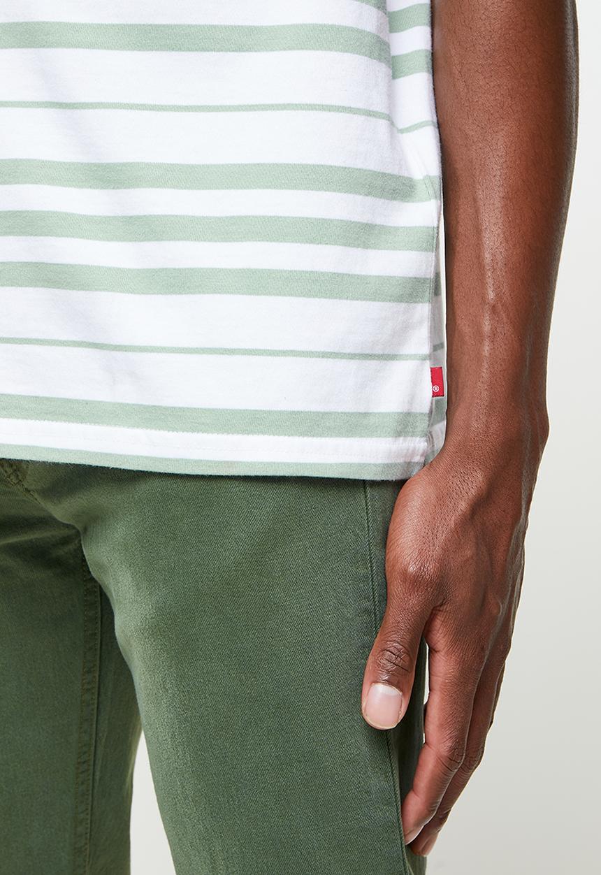 Levi’s® - Stay loose short sleeve tee backyard - green & white