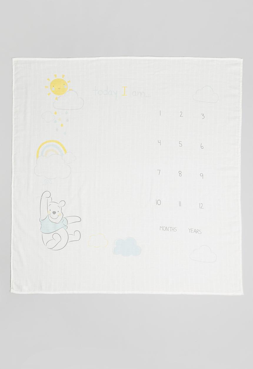 Character Group - Winnie milestone blanket - aqua