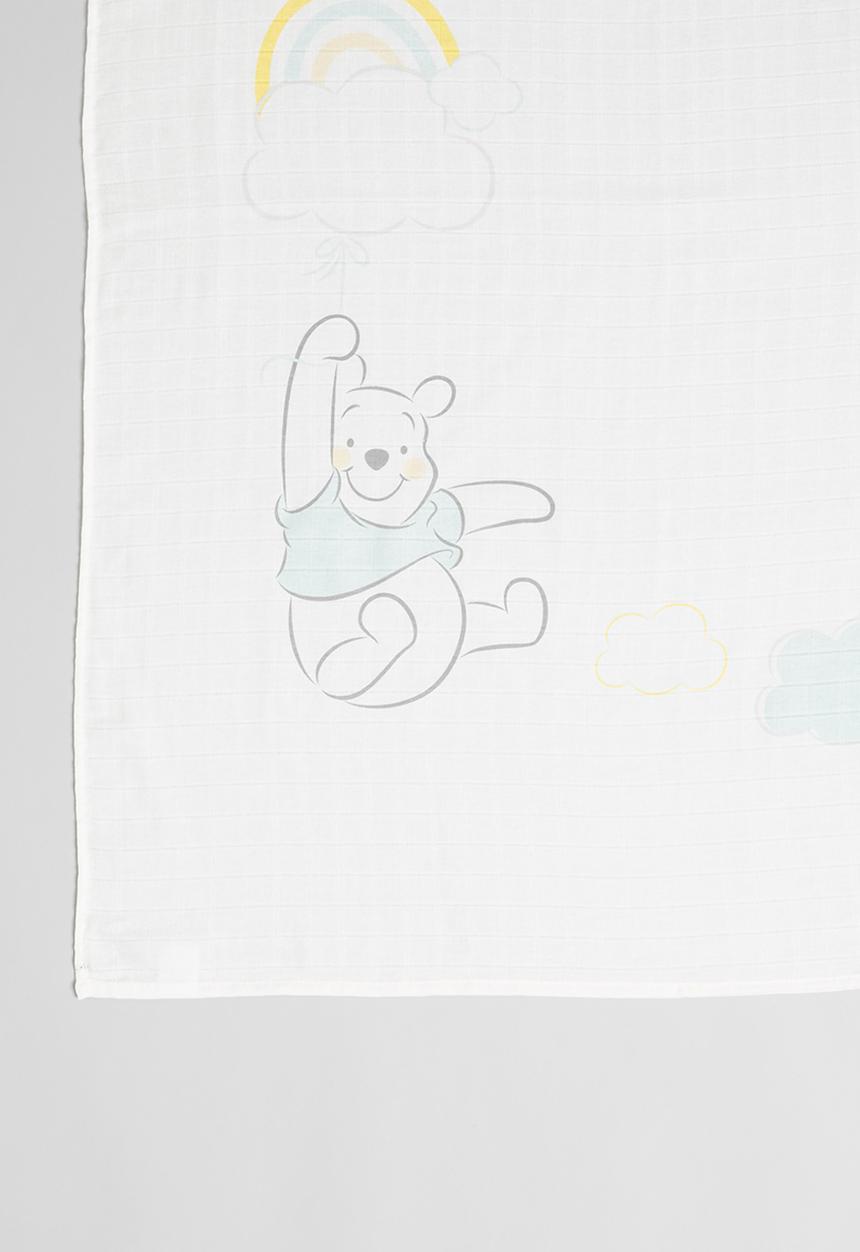 Character Group - Winnie milestone blanket - aqua