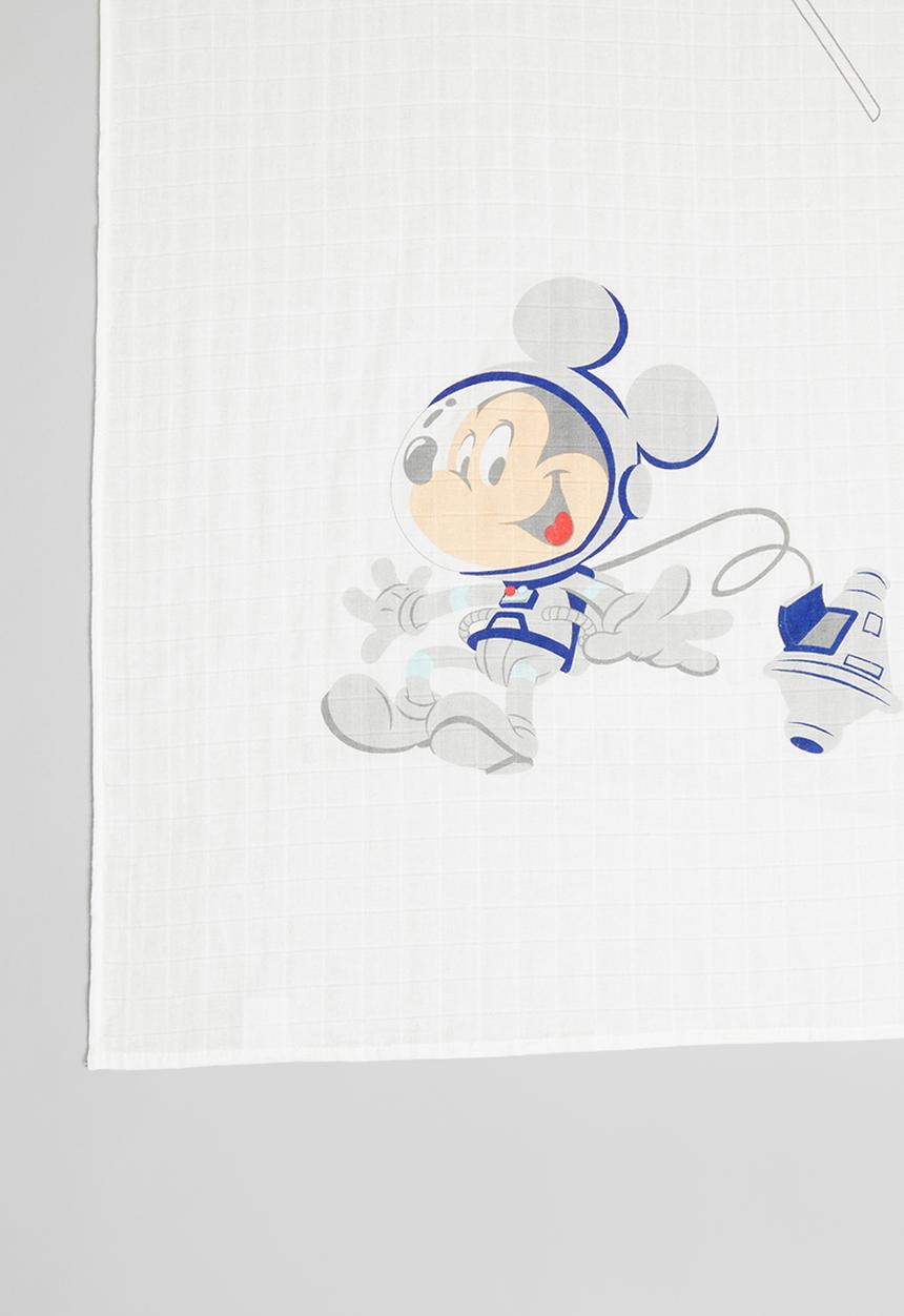 Character Group - Mickey milestone blanket - blue