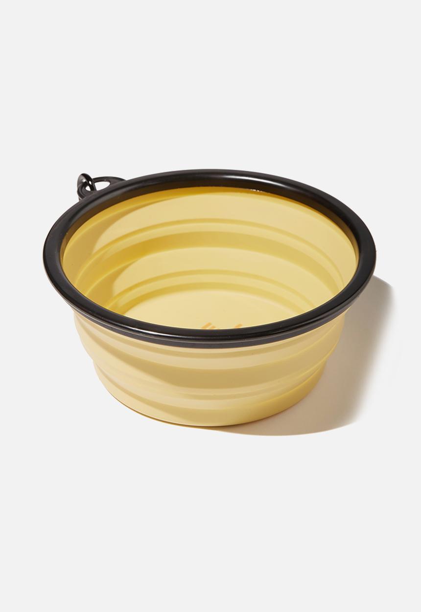 Typo - Pop up doggo bowls - bone appetit mustard