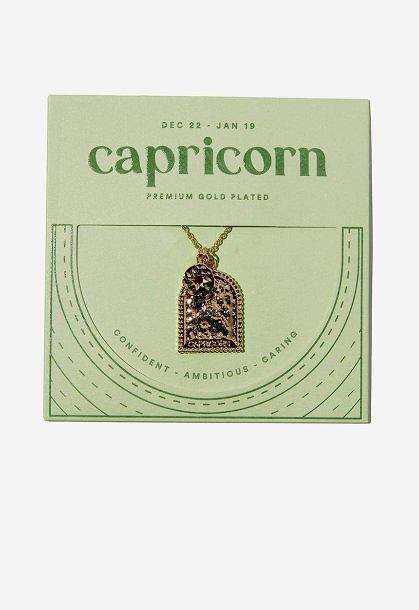 Rubi - Premium zodiac necklace - gold plated capricorn